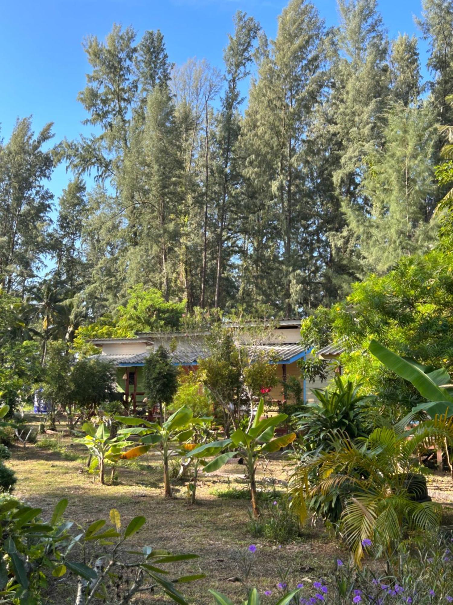 Neverland Beach Village Bungalows Ko Lanta Eksteriør bilde