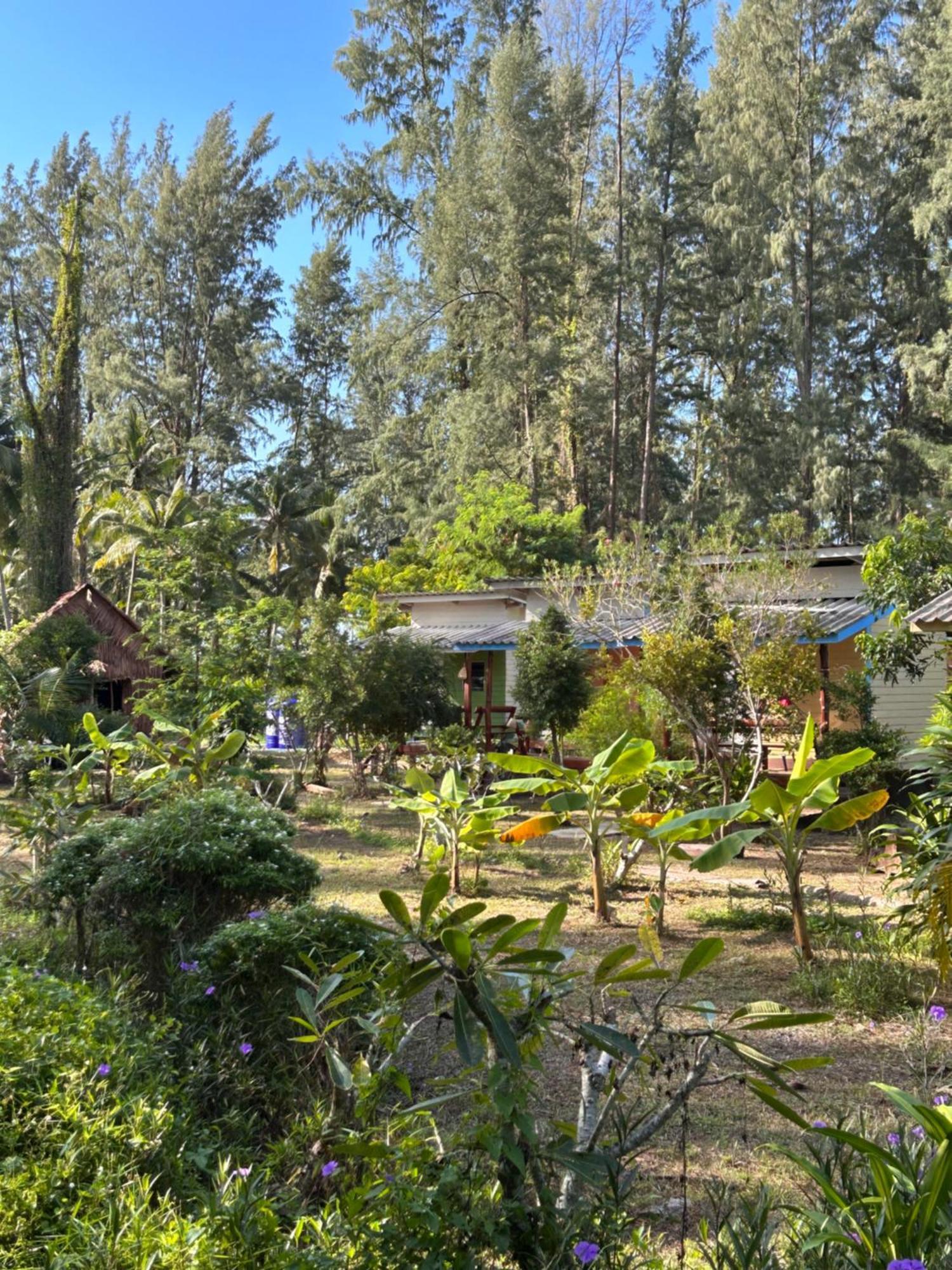 Neverland Beach Village Bungalows Ko Lanta Eksteriør bilde